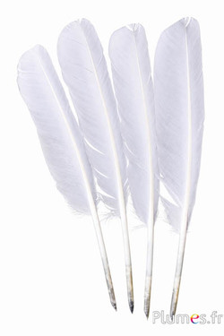 Schwan Schreibfeder - 30-33 - weiss